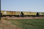 BN 468915